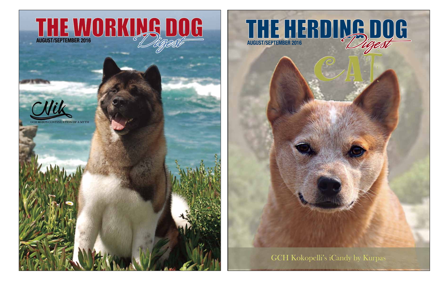 Working Dog Herding Dog Digest